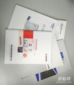 樂清樣本畫冊設(shè)計(jì)與印刷服務(wù) 宣傳冊、單張、說明書與網(wǎng)站設(shè)計(jì)一體化解決方案